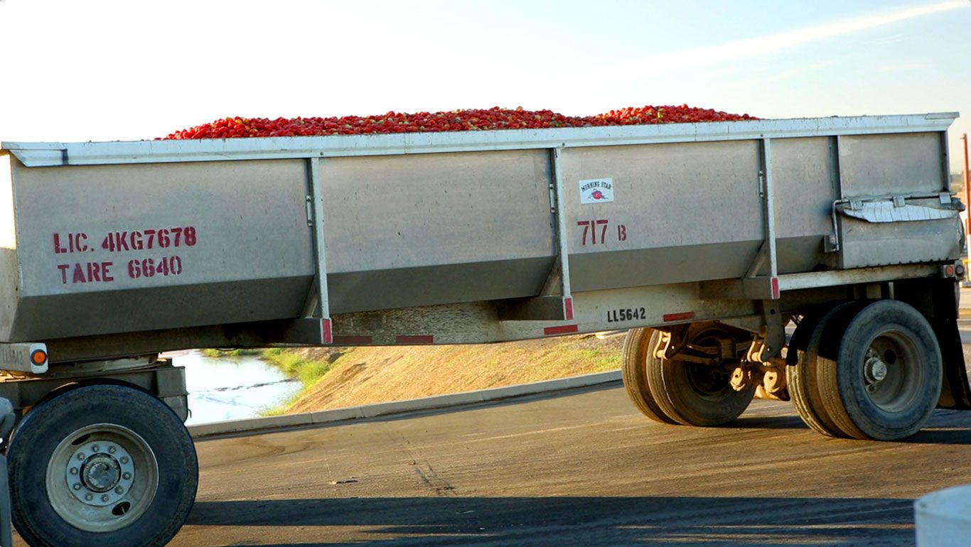 transport_tomates